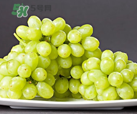 馬奶葡萄是只有新疆有嗎？綠馬奶葡萄為什么發(fā)澀