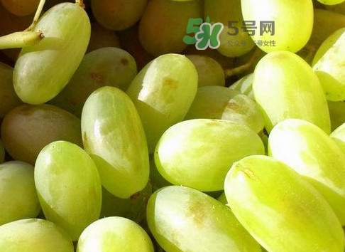 馬奶葡萄是提子嗎？馬奶葡萄怎么洗？