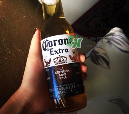 科羅娜啤酒多少度？科羅娜啤酒怎么樣