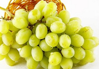 馬奶葡萄是只有新疆有嗎？綠馬奶葡萄為什么發(fā)澀