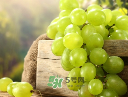 馬奶葡萄幾月成熟？吃馬奶葡萄有什么好處？