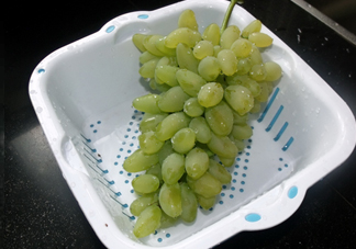 金手指葡萄到底有什么缺點？金手指葡萄什么時候成熟