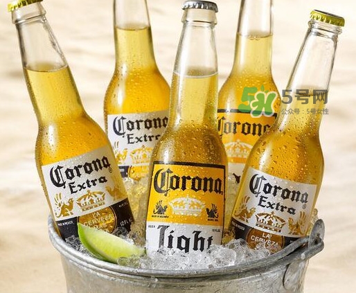 科羅娜啤酒多少錢一瓶？科羅娜啤酒好喝嗎