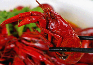 9月份還有小龍蝦嗎？九月份龍蝦怎么養(yǎng)？