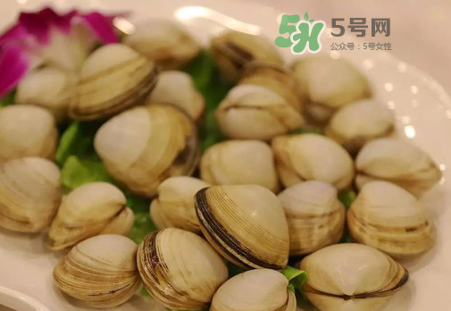 花蛤可以放冰箱冷凍嗎？花蛤放冰箱保鮮能吃嗎？