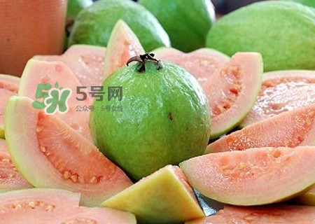 芭樂皮能吃嗎？芭樂皮可以吃嗎