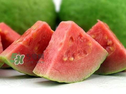 芭樂(lè)怎么保存？芭樂(lè)可以放冰箱嗎