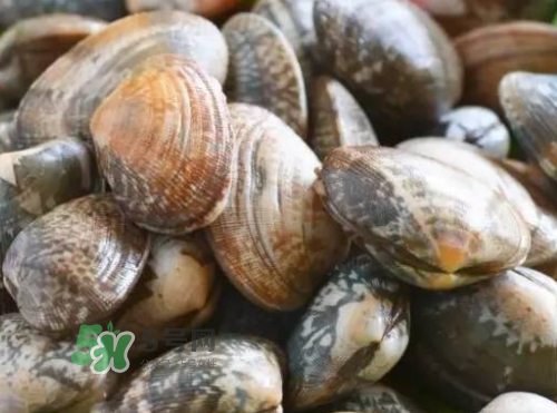 花蛤開口了還能吃嗎？花蛤開口不動(dòng)還能吃嗎？