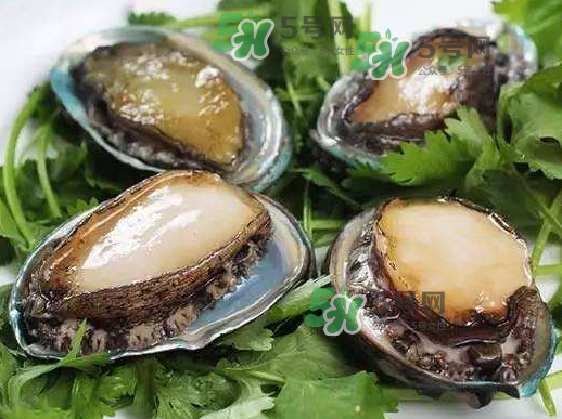 花蛤沒開口能吃嗎？花蛤不張嘴是不是死了？