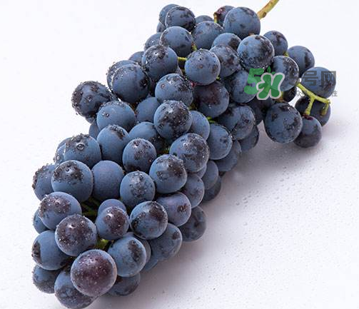 夏黑葡萄有籽嗎？夏黑葡萄好吃嗎？