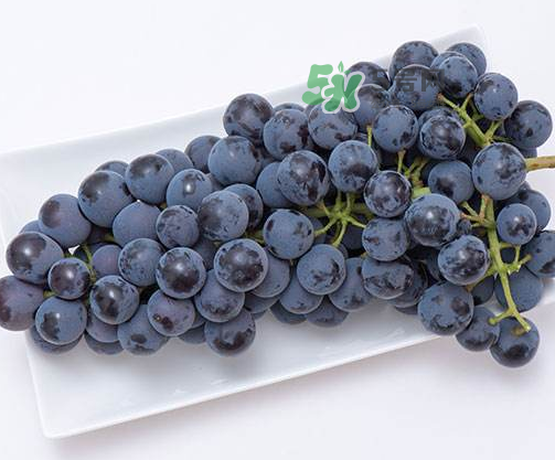 夏黑葡萄有籽嗎？夏黑葡萄好吃嗎？