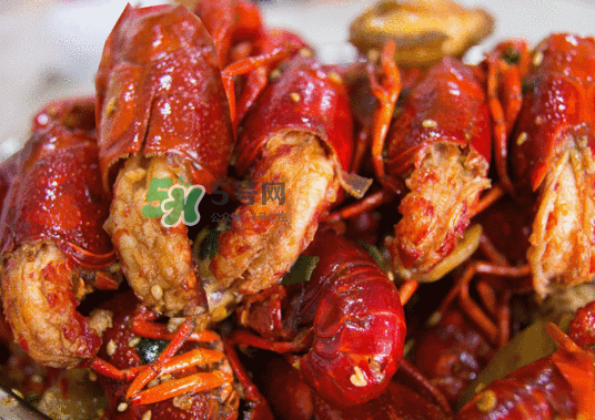 9月份還有小龍蝦嗎？九月份龍蝦怎么養(yǎng)？