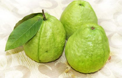 芭樂沒熟能吃嗎？芭樂怎么催熟