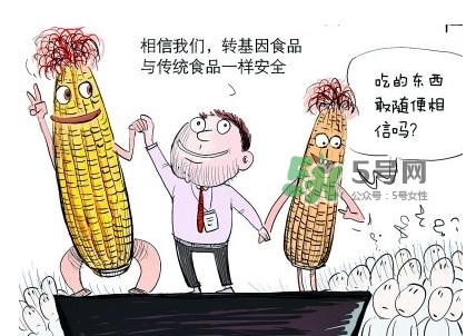 雜交水稻是不是轉(zhuǎn)基因？轉(zhuǎn)基因食品有哪些？