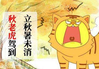 秋老虎熱嗎？末伏熱還是秋老虎熱？