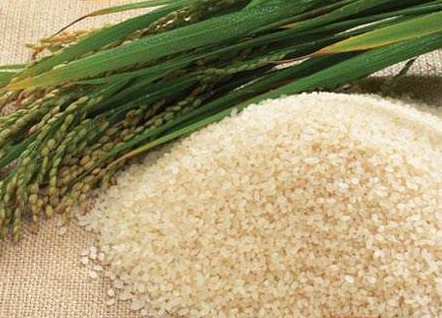 轉基因是什么意思？美國人不吃轉基因專賣中國人