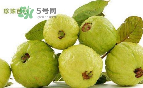 芭樂是什么季節(jié)的水果？芭樂什么時候吃最好