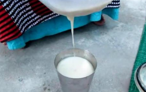 芭樂沒熟能吃嗎？芭樂怎么催熟