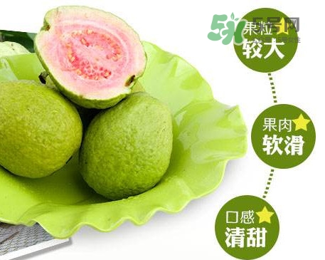 芭樂怎么挑選？如何挑選紅心芭樂