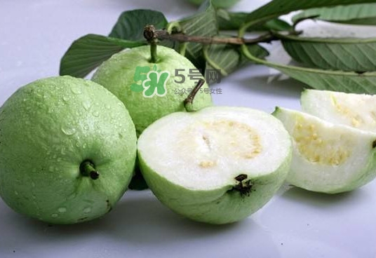 紅芭樂(lè)吃多了會(huì)怎么樣？吃白芭樂(lè)好還是紅芭樂(lè)好