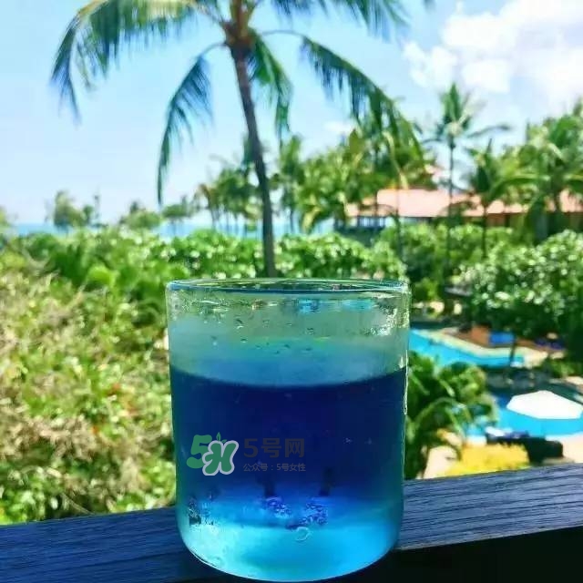 pepsi blue藍色百事可樂為什么火_在哪買_多少錢