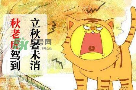 秋老虎熱嗎？末伏熱還是秋老虎熱？