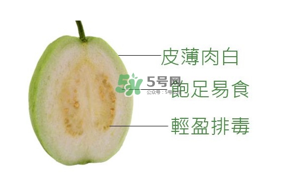 芭樂可以減肥嗎？吃芭樂可以喝牛奶嗎？