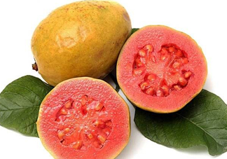 芭樂可以減肥嗎？吃芭樂可以喝牛奶嗎？