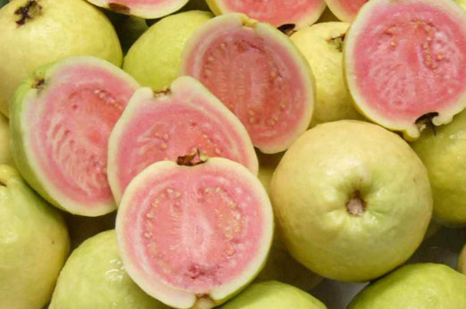 芭樂(lè)是番石榴嗎？芭樂(lè)是什么水果