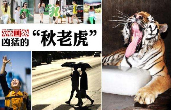 秋老虎有多熱？秋老虎一般是怎么算的？
