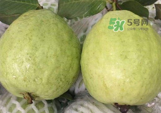 紅芭樂怎么吃？芭樂是熱的還是涼的