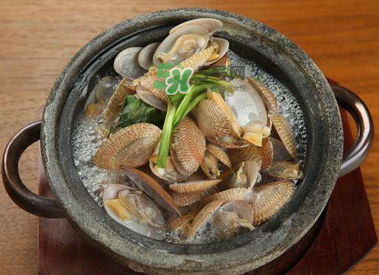 煮花蛤是開水還是冷水？花蛤用冷水還是熱水？