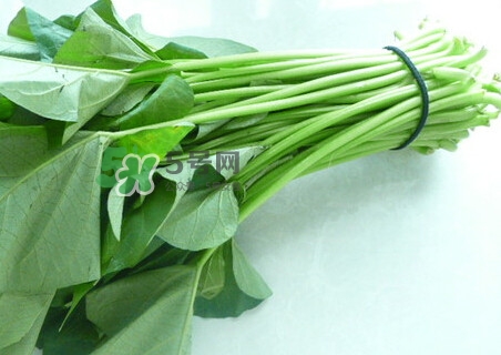 紅薯葉怎么做好吃？什么人不能吃紅薯葉