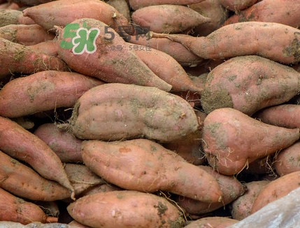 地瓜怎么煮熟的快？地瓜切成片煮還是整個(gè)煮好