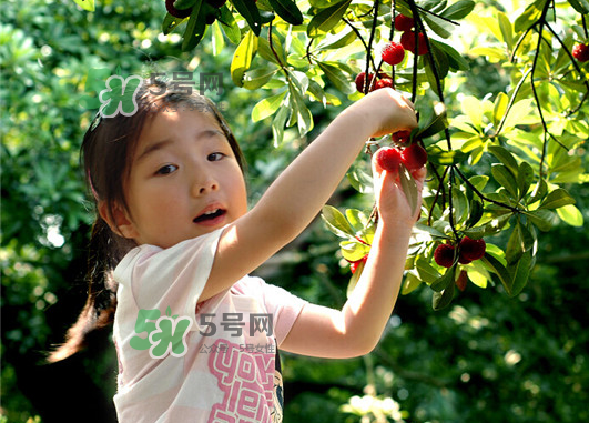 八月份還有楊梅嗎？楊梅幾月份結(jié)束？