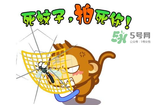 八月份還有蚊子嗎？八月份蚊子多嗎？