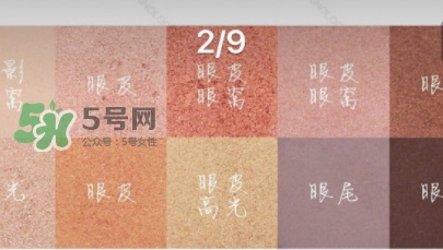 zoeva玫瑰金眼影盤怎么畫？zoeva rose golden畫法教程