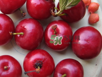 鈣果什么味道？鈣果好吃嗎？