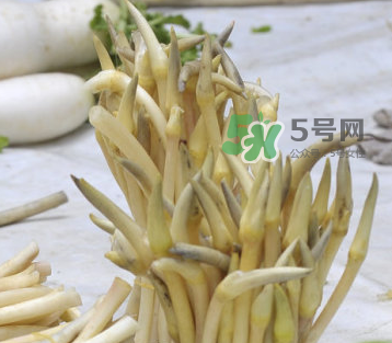 2017年藕帶什么時(shí)候下市？藕帶下市時(shí)間是幾月？