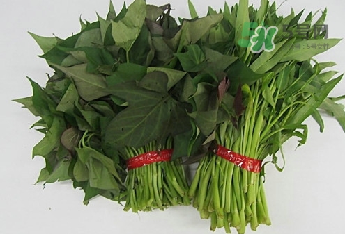 紅薯葉怎么做好吃？什么人不能吃紅薯葉