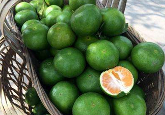 八月份可以吃橘子嗎？八月份的橘子能吃嗎？