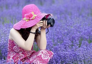 八月份還有薰衣草嗎？8月份還有薰衣草嗎？