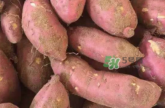 地瓜發(fā)芽了怎么種盆栽？拔絲地瓜怎么熬糖