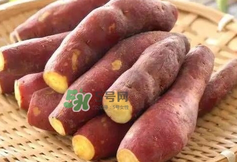 地瓜怎么做好吃？地瓜怎么吃好吃