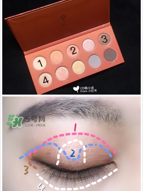 zoeva玫瑰金眼影盤怎么畫？zoeva rose golden畫法教程
