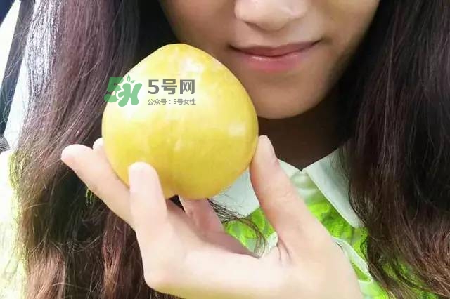 奈李是什么水果？奈李為什么會空心