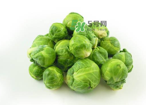 立秋可以種甘藍(lán)嗎？九月份能種甘藍(lán)嗎？