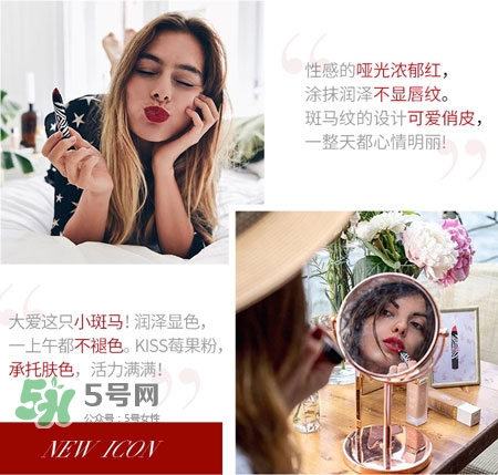 希思黎斑馬紋唇膏筆色號(hào)_希思黎斑馬紋口紅試色圖 希思黎斑馬紋唇膏筆色號(hào)_希思黎斑馬紋口紅試色圖