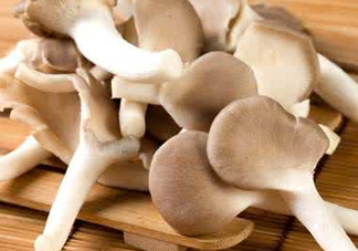 哪些人不能吃秀珍菇？秀珍菇不能和什么同吃？