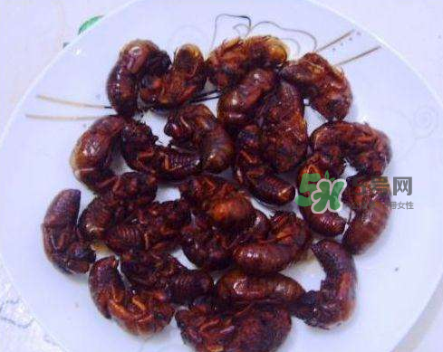 知了猴可以煮著吃嗎？知了猴怎么煮？